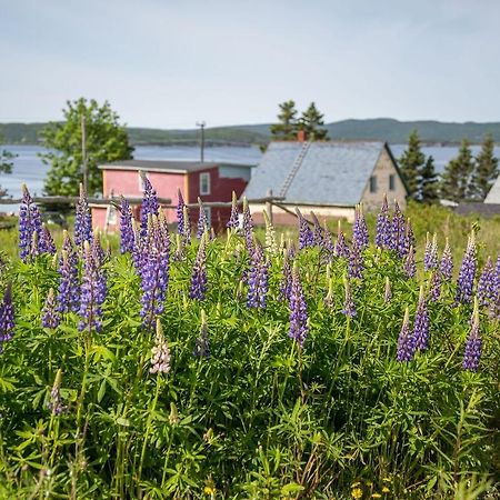 George House Heritage Bed And Breakfast Dildo Exteriér fotografie