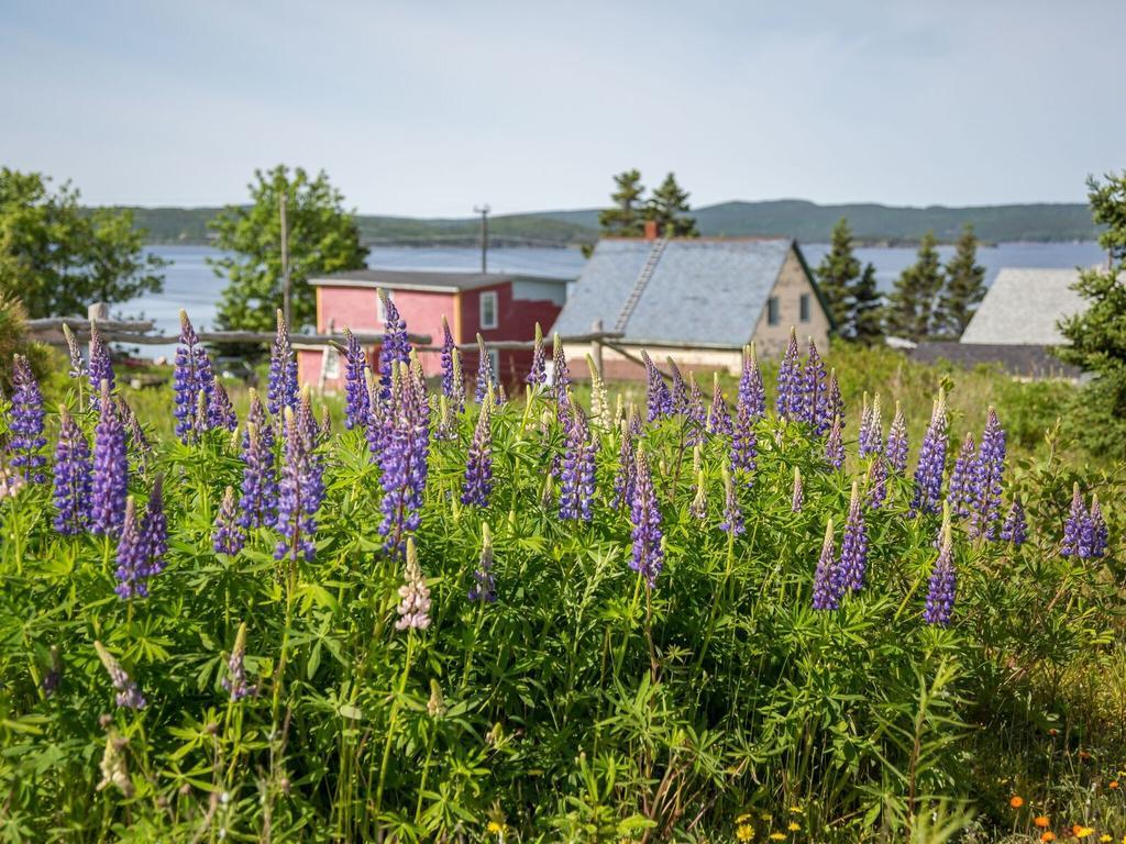 George House Heritage Bed And Breakfast Dildo Exteriér fotografie